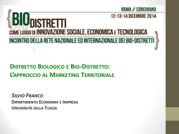Silvio Franco - Marketing territoriale - Bio