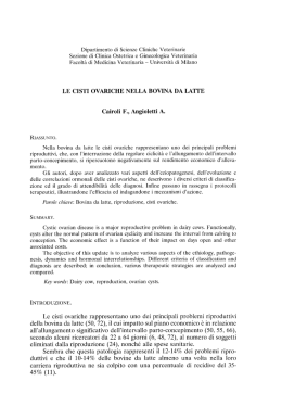 Le cisti ovariche nella bovina da latte