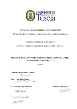 Valentina Primi-Stategie innovative per l