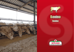 Bovino - Siciliani SpA