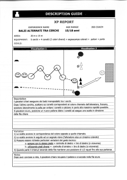DESCRIPTION GUIDE - Tregnaghi Calcio