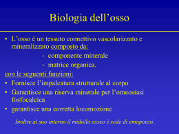 osteoporosi e dieta