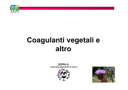 Cagli vegetali - Zeppa Giuseppe