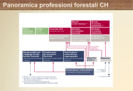 Panoramica professioni forestali CH