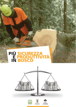 Più sicurezza e produttività in bosco