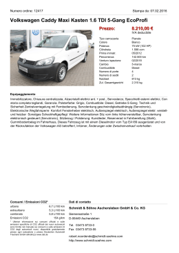 Volkswagen Caddy Maxi Kasten 1.6 TDI 5-Gang EcoProfi