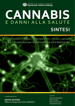 SINTESI