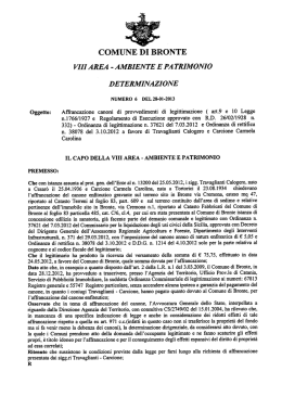 Determinazione N 6 del 28-01