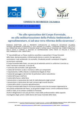 Consulta Sicurezza Calabria - comunicato x il CFS