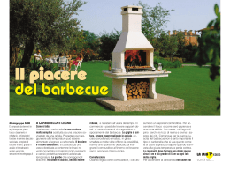 barbecue_files/barbecue 2010