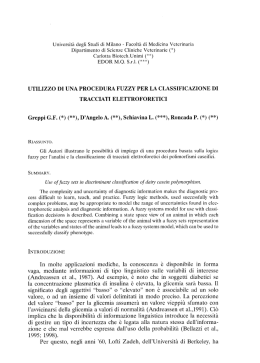 Utilizzo di una procedura fuzzy per la