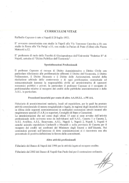 curriculum vitae