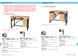 SVersione Standard SVersione Deluxe