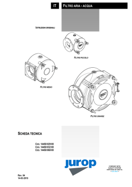 SCHEDA TECNICA IT FILTRO ARIA - ACQUA