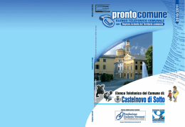 Registro Aziende Castelnovo di Sotto Edizione 2010/2011