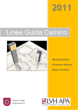 Linee Guida Camino
