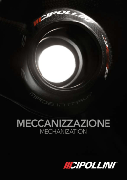 Meccanizzazione telai
