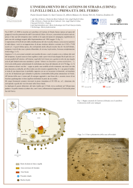 l`insediamento di castions di strada - Istituto Italiano di Preistoria e