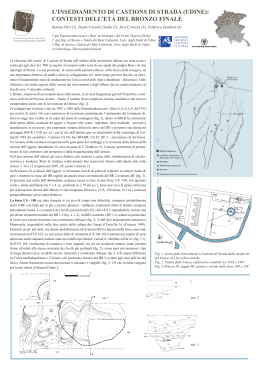 l`insediamento di castions di strada (udine): contesti dell`et&agrave; del