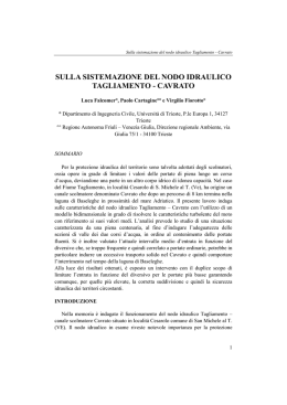 Sulla sistemazione del nodo idraulico Tagliamento