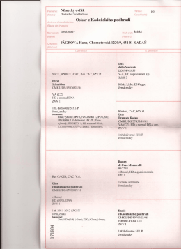 Page 1 Plemeno: N&euml;mecky &Uuml;V&euml;&aacute;k POhlBV&Iacute;I pes (Rasse) Deutscher