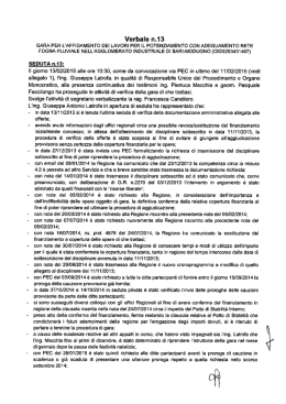 Verbale n.13 del 13.02.2015 - Consorzio per l`Area di Sviluppo