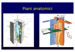 Piani anatomici - Fisiokinesiterapia