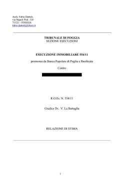 FG_554_11 perizia