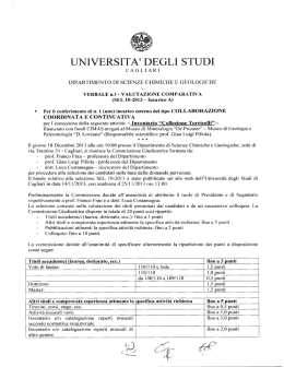 Verbale SEL 10-2013_Incarico A
