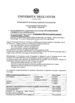 Verbale SEL 10-2013_Incarico B - Dipartimenti
