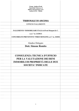 TRIBUNALE DI ANCONA Dott. Simone Romito CONSULENZA