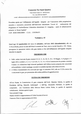 Verbale 15 - Consorzio Urbanistico Tor Santi Quattro
