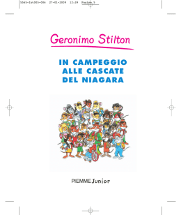IN CAMPEGGIO ALLE CASCATE DEL NIAGARA