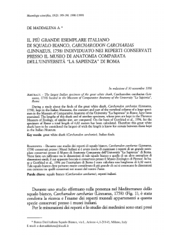 scarica/download pdf - Adria