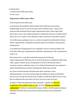 La depurazione La Depurazione delle acque reflue