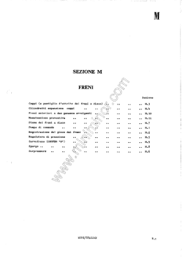 Ceppi (e pastiglie d`attrito dei freni a disuu) Cilindretti espansione