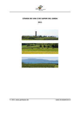 Tour 2 - La Strada Dei Vini