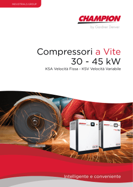Compressori a Vite 30 - 45 kW