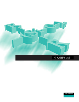 Dow Corning Silicone Chemistry Overview (Chinese)