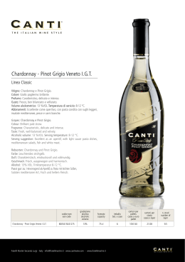 Chardonnay - Pinot Grigio Veneto I.G.T.
