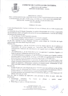 Verbale di gara - Comune di Castello di Cisterna