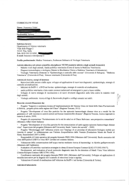 curriculum vitae