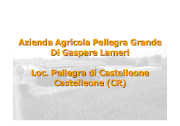 Azienda Agricola Pellegra Grande Di Gaspare Lameri Loc. Pellegra