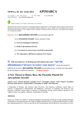 NEWS/2 gennaio 2012 APIMARCA