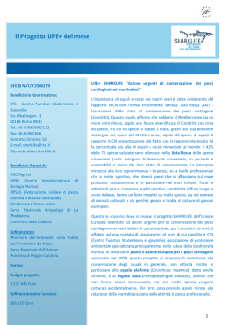 Il progetto SHARKLIFE e LIFE