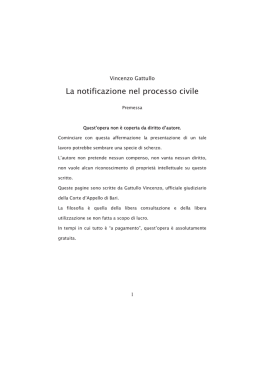 Vincenzo Catullo - la notificazione nel processo civile