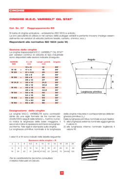 MEC V-BELT listino 2008