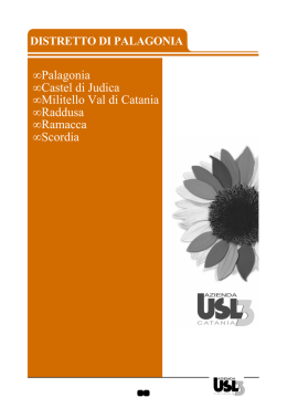 &bull; Palagonia &bull; Castel di Judica &bull; Militello Val di Catania