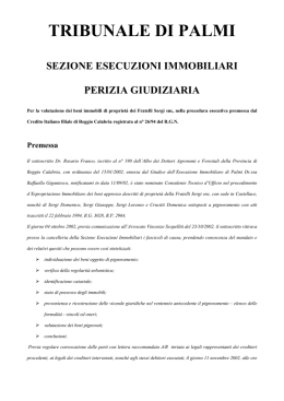 TRIBUNALE DI PALMI