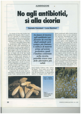 Scarica il pdf dell`articolo